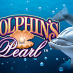 Dolphins Pearl