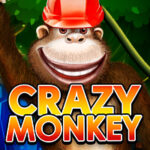 Crazy Monkey