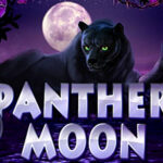 Подробнее о статье Panther Moon