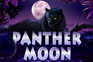 Вы сейчас просматриваете Panther Moon