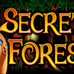 Подробнее о статье Secret Forest