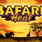 Подробнее о статье Safari Heat