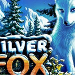 Silver Fox