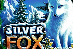 Вы сейчас просматриваете Silver Fox