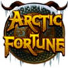 Вы сейчас просматриваете Arctic Fortune