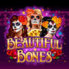 Beautiful Bones