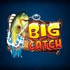 Подробнее о статье Big Catch