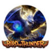 Подробнее о статье Bird Of Thunder