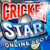 Подробнее о статье Cricket Star