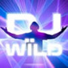 Подробнее о статье DJ Wild