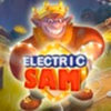 Подробнее о статье Electric Sam