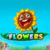 Вы сейчас просматриваете Flower Touch