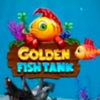 Golden Fish Tank