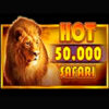 Вы сейчас просматриваете Hot Safari