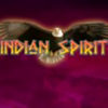 Вы сейчас просматриваете Indian Spirit