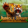 Подробнее о статье Jungle Spirit