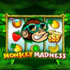 Вы сейчас просматриваете Monkey Madness