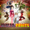 Ninja Fruits