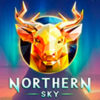 Подробнее о статье Northern Sky