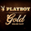 Подробнее о статье Playboy Gold