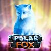 Вы сейчас просматриваете Polar Fox