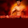 Подробнее о статье Red Dragon Wild