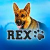 Вы сейчас просматриваете Rex