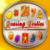 Подробнее о статье Roaring Forties