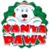 Подробнее о статье Santa Paws