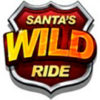 Подробнее о статье Santas Wild Ride