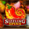 Подробнее о статье Sizzling Spins