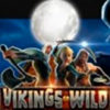 Подробнее о статье Vikings Go Wild