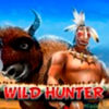 Подробнее о статье Wild Hunter