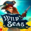 Подробнее о статье Wild Seas