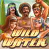 Подробнее о статье Wild Water