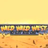 Подробнее о статье Wild Wild West