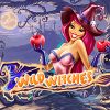 Вы сейчас просматриваете Wild Witches