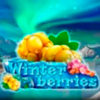 Вы сейчас просматриваете Winterberries