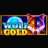 Подробнее о статье Wolf Gold